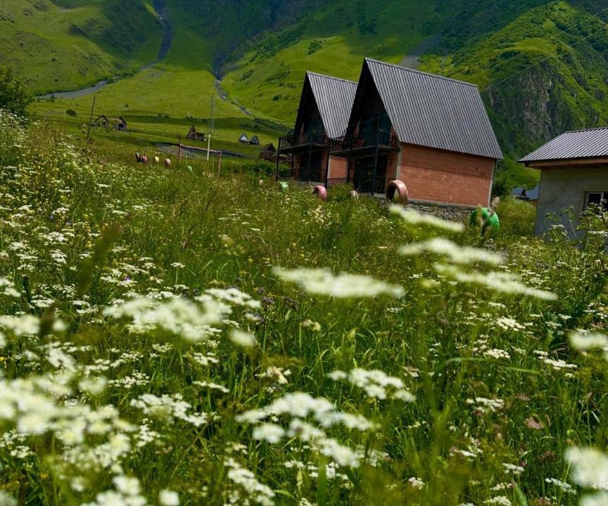 Photo of Others in Stepantsminda