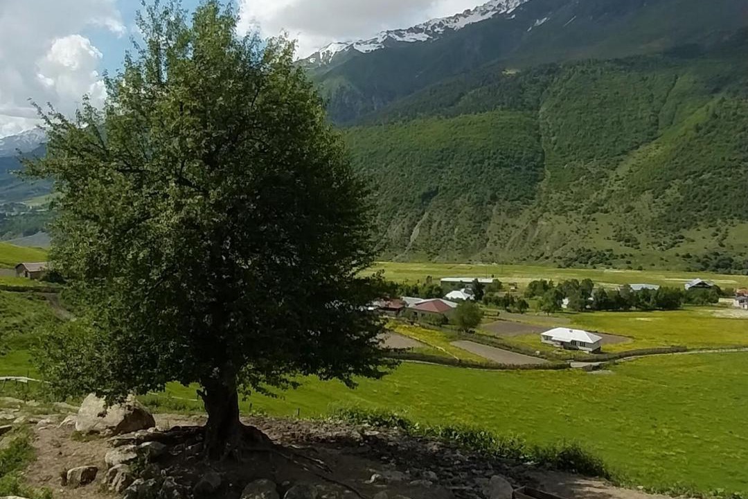Photo of Others in Lalkhori