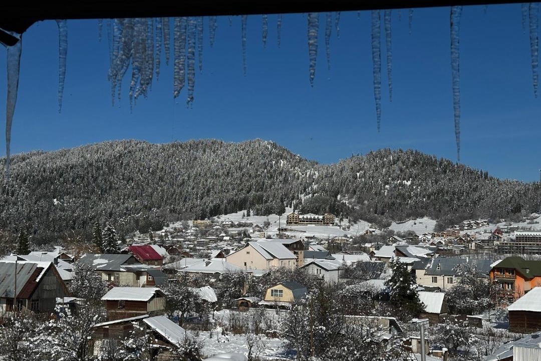 Photo of Others in Bakuriani