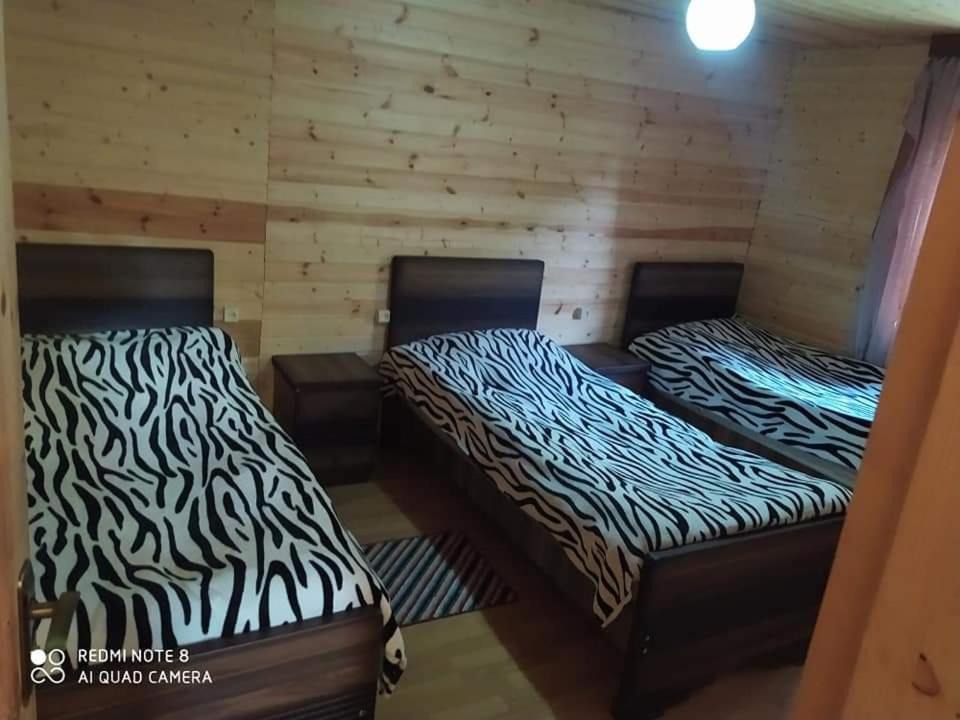 Photo of Others in Ushguli