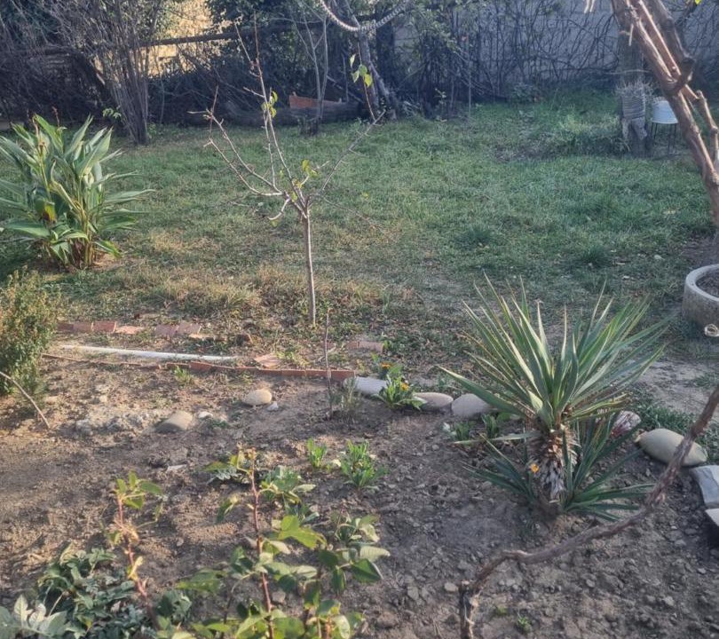 Photo of Outdoor in Vedzebi