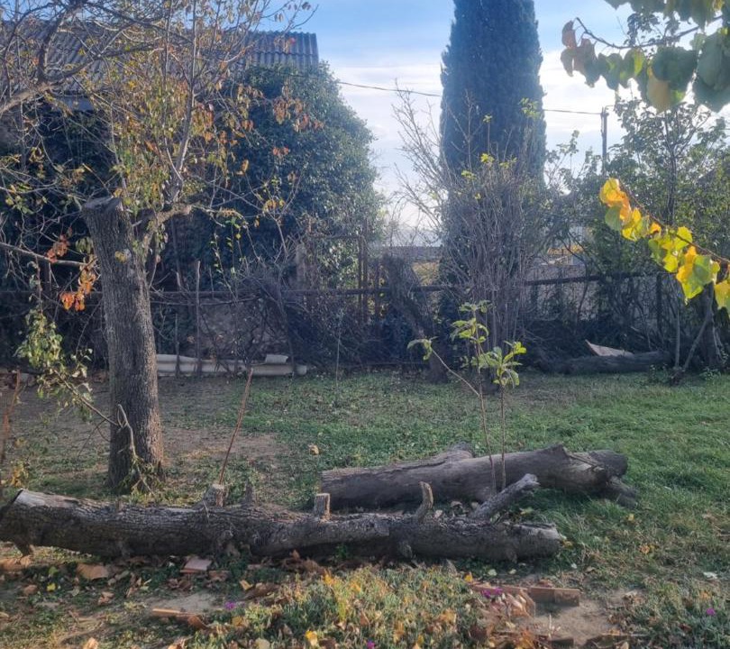 Photo of Outdoor in Vedzebi