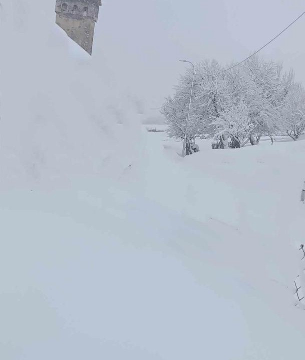 Photo of Others in Tsvirmi