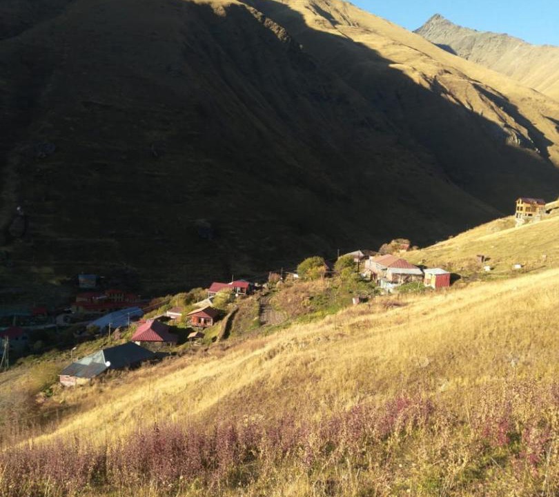 Photo of Outdoor in Juta