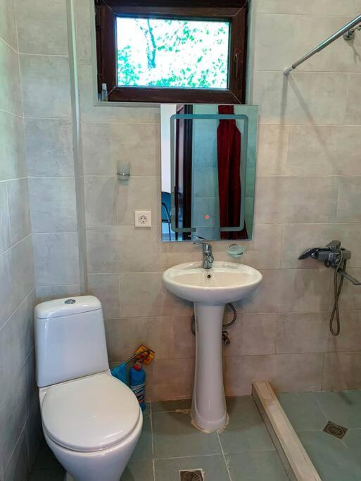 Photo of Bathroom in Ambrolauri