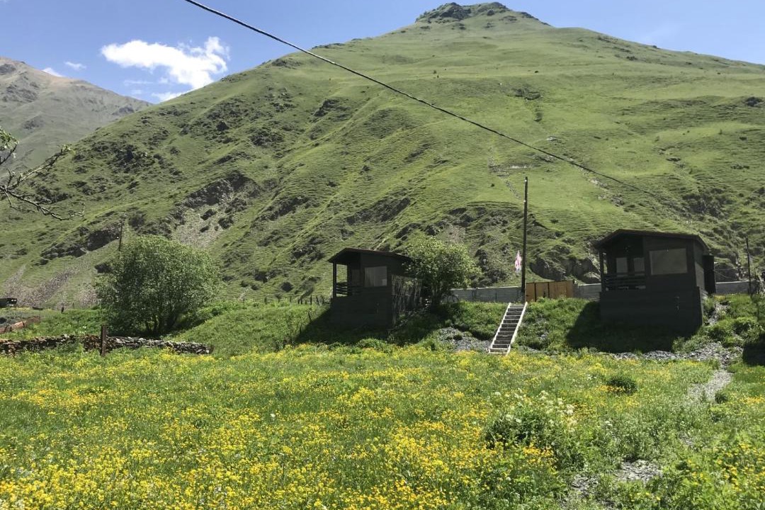 Photo of Others in Kazbegi