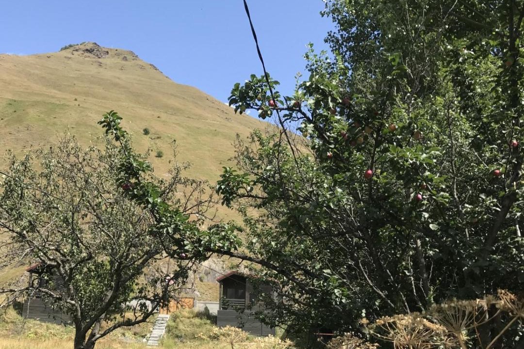 Photo of Others in Kazbegi
