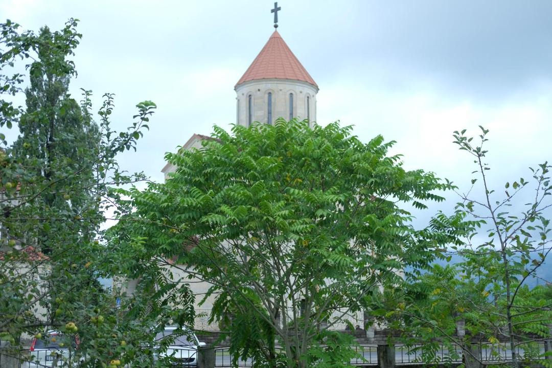 Photo of Others in Salkhino