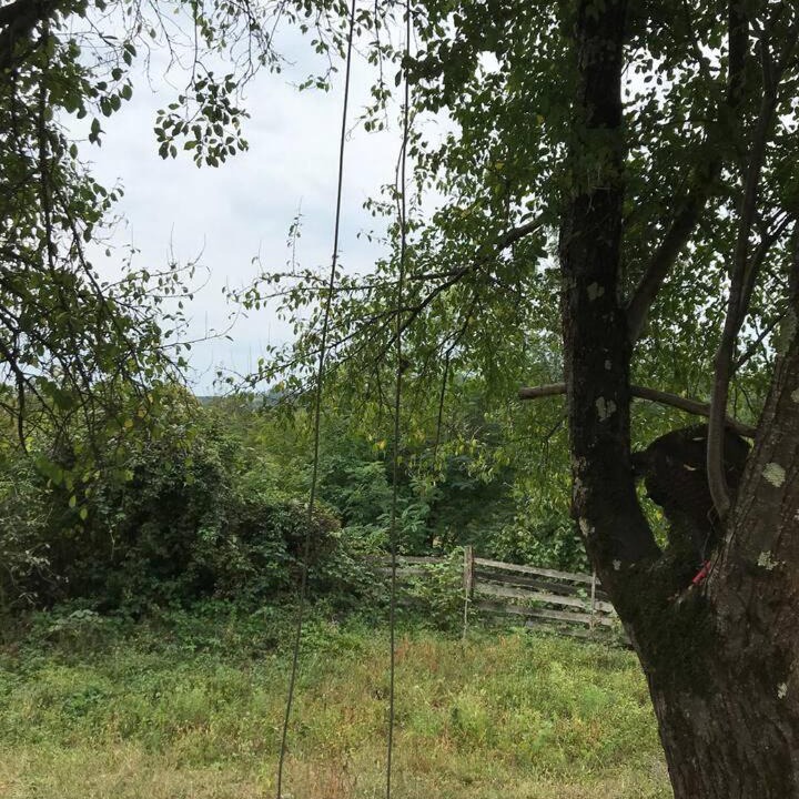 Photo of Others in Imereti