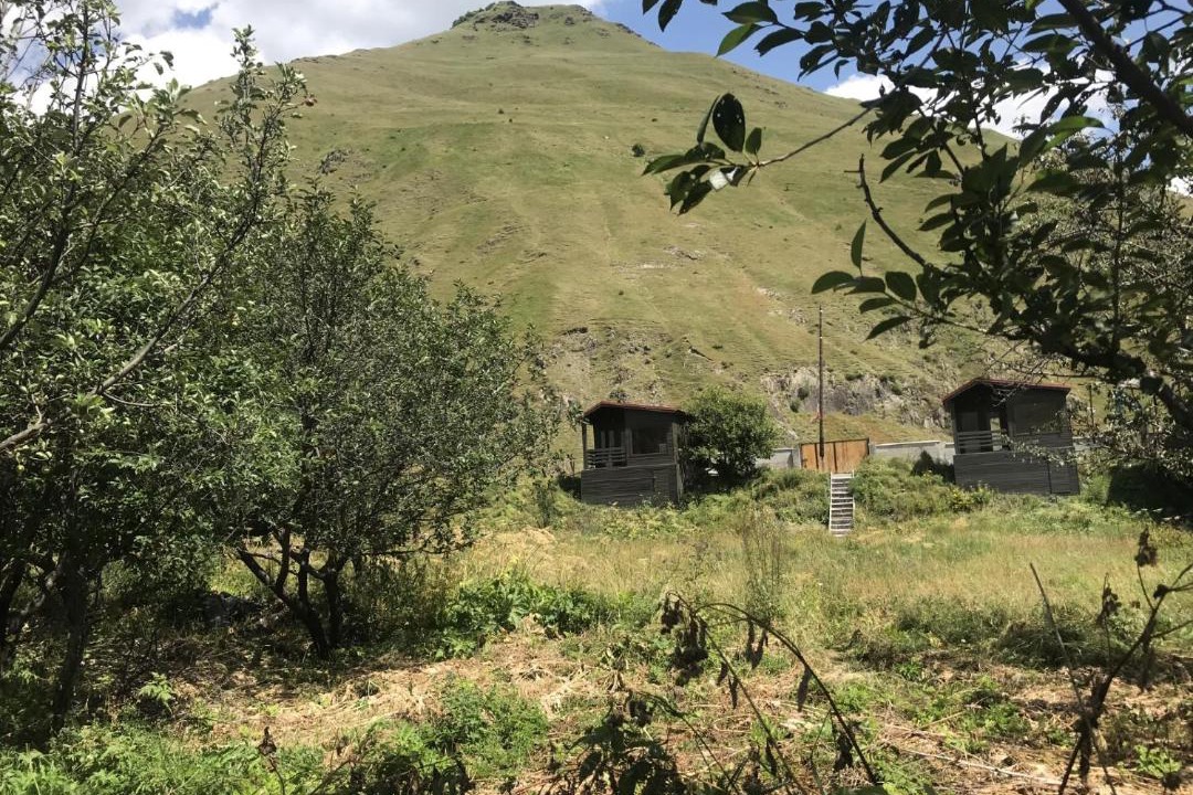 Photo of Others in Kazbegi