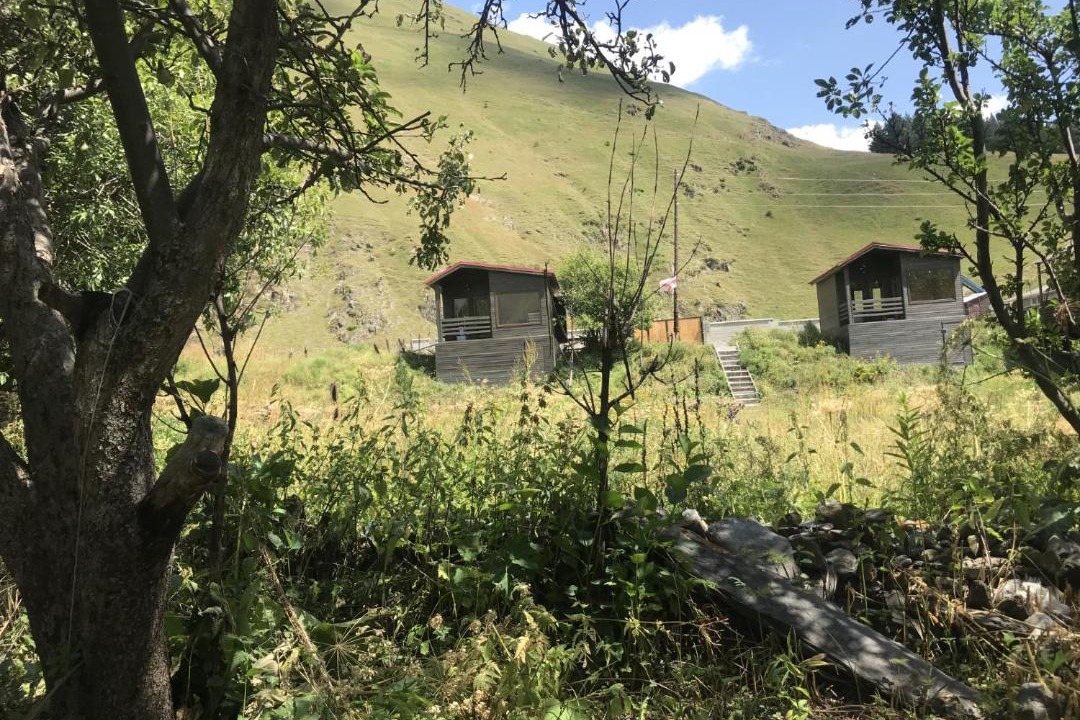 Photo of Others in Kazbegi