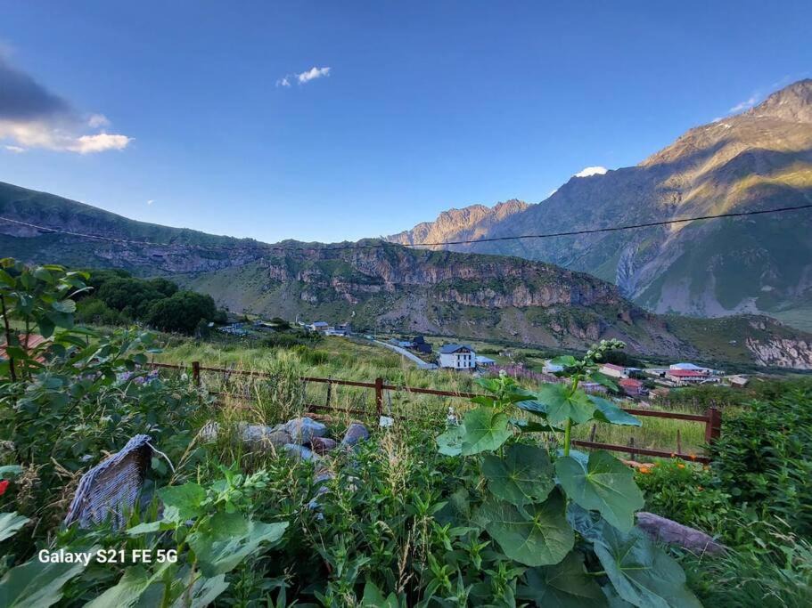 Photo of Outdoor in Stepantsminda