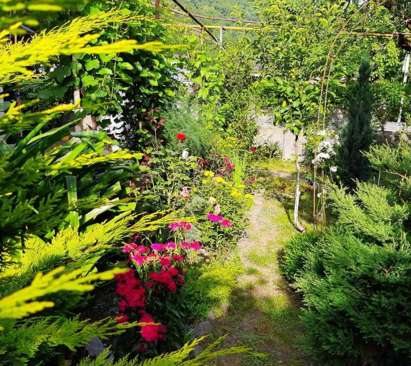 Photo of Outdoor in Lagodekhi