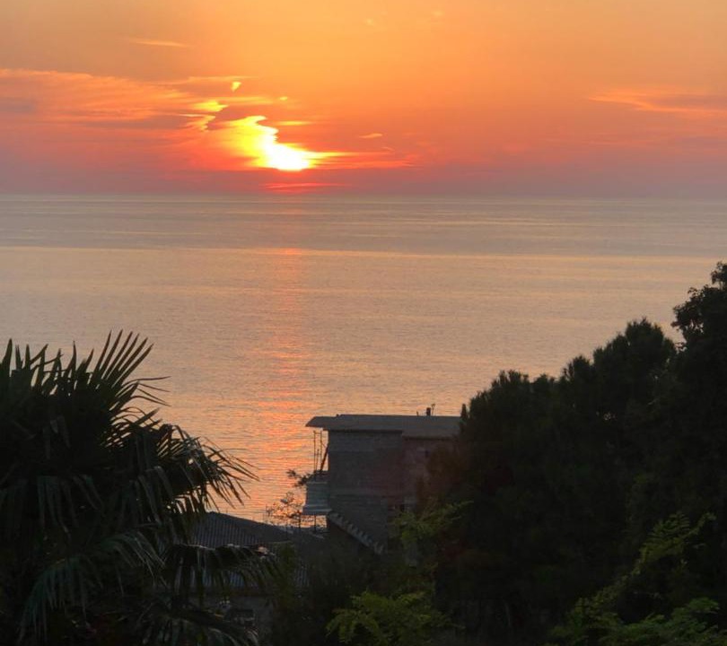 Photo of Outdoor in Kobuleti