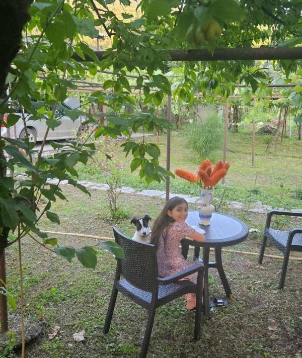Photo of Patio Balcony in Lagodekhi