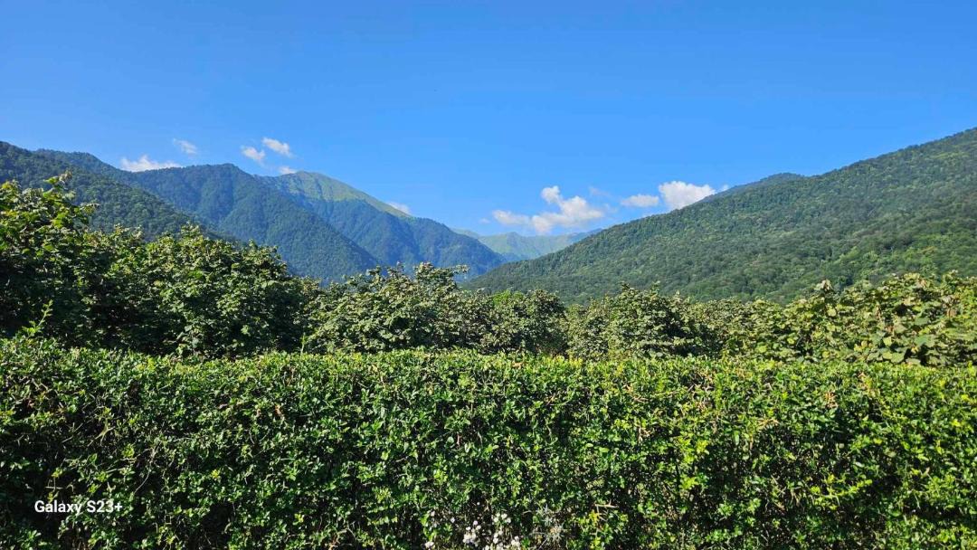 Photo of Outdoor in Lagodekhi