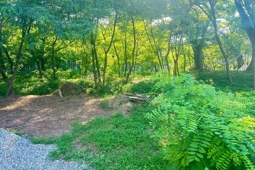 Photo of Outdoor in Ureki