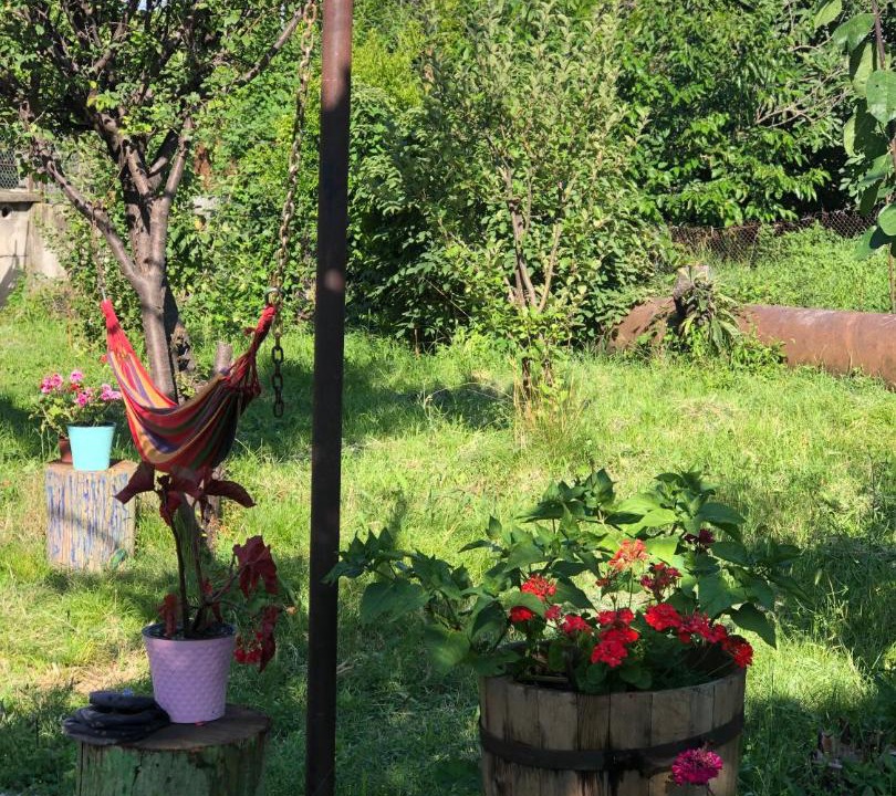 Photo of Outdoor in Telavi