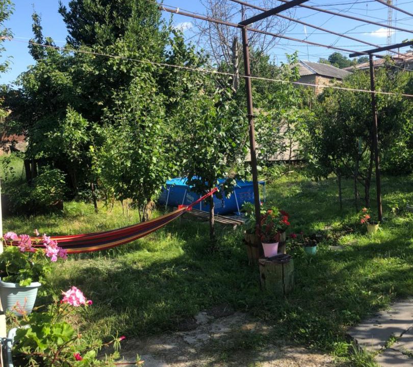 Photo of Outdoor in Telavi