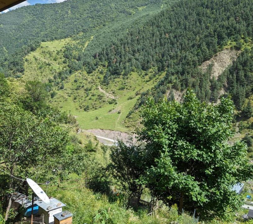 Photo of Others in Shatili