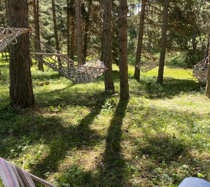 Photo of Others in Dartlo
