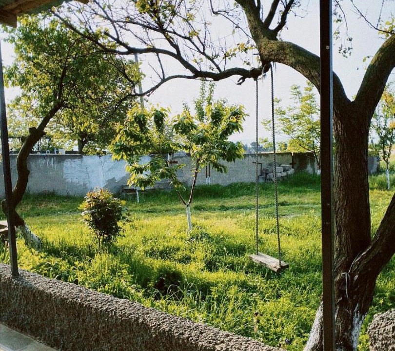 Photo of Others in Udabno