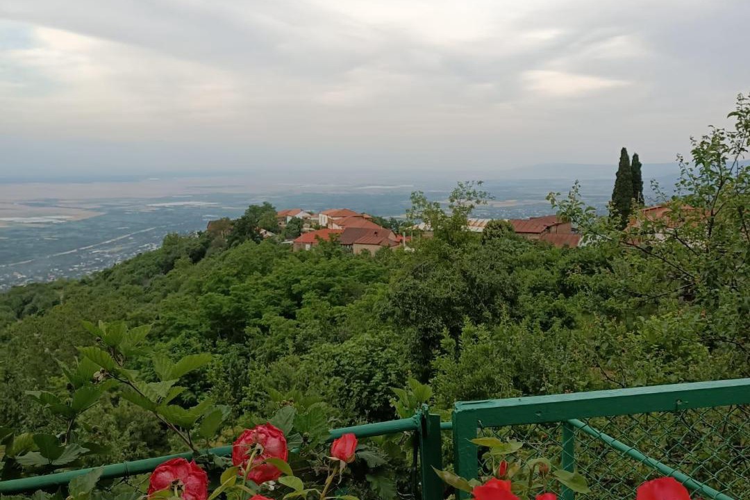 Photo of Others in Sighnaghi