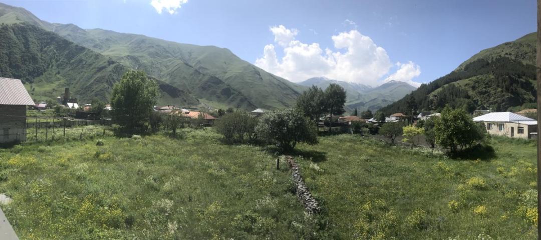 Photo of Others in Kazbegi