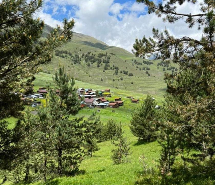Photo of Others in Diklo