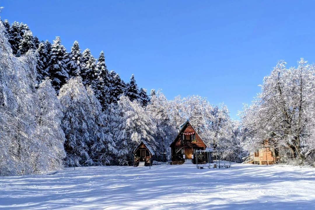 Photo of Buildings in Ambrolauri