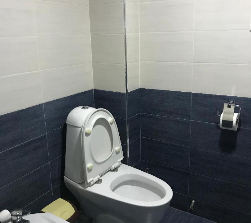 Photo of Bathroom in Bagvdanari