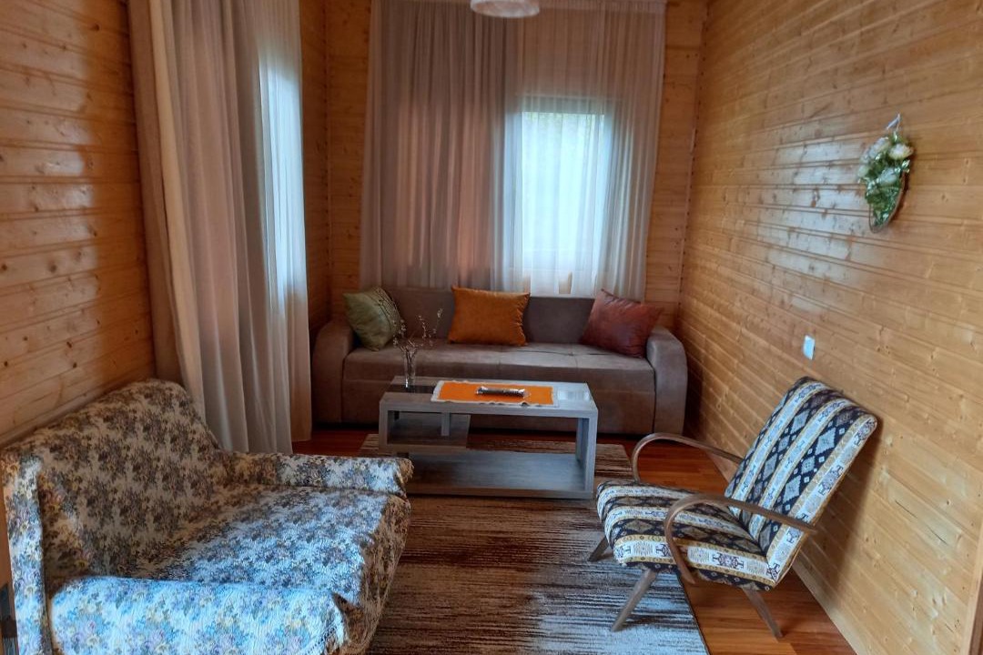 Photo of Livingroom in Tsilkani