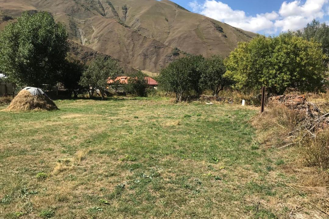 Photo of Others in Kazbegi