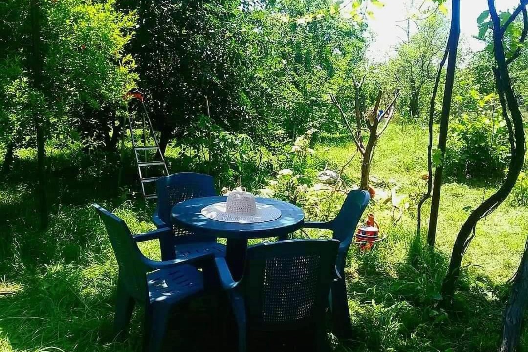 Photo of Others in Vedzebi