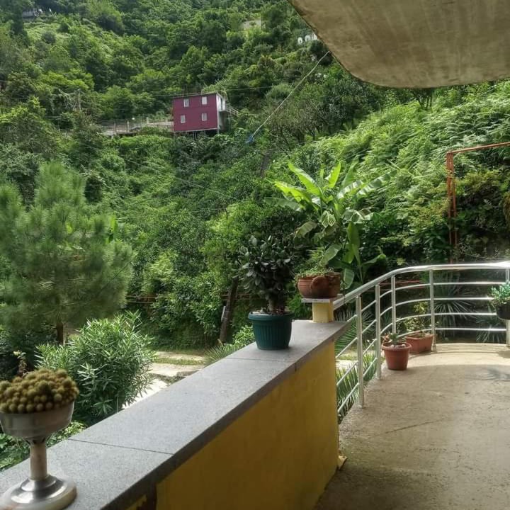 Photo of Patio Balcony in Kvariati