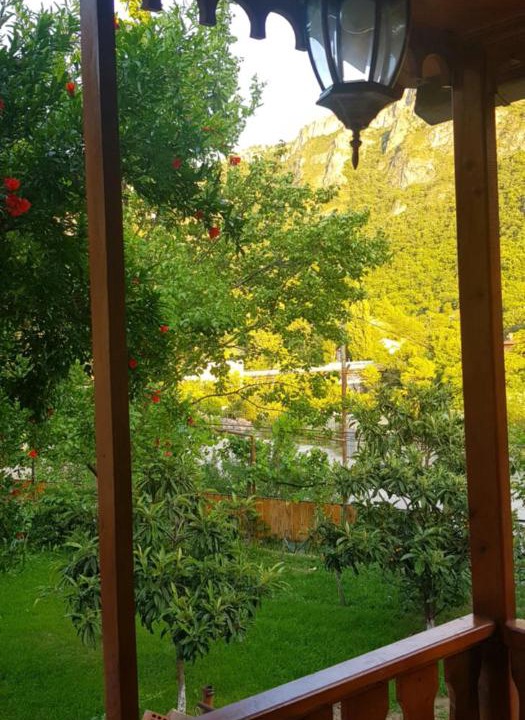 Photo of Others in Mtskheta