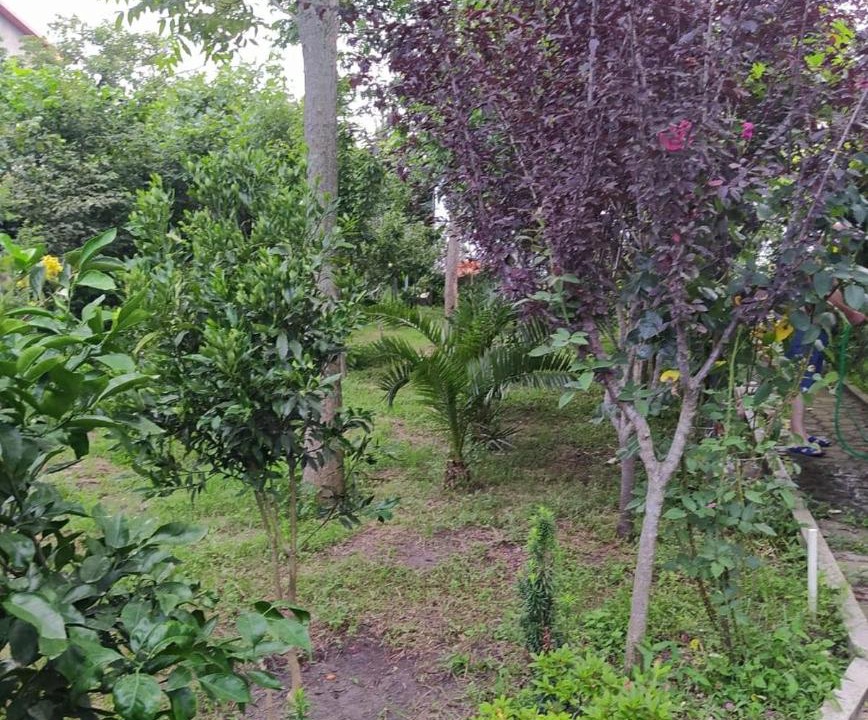Photo of Outdoor in Poti