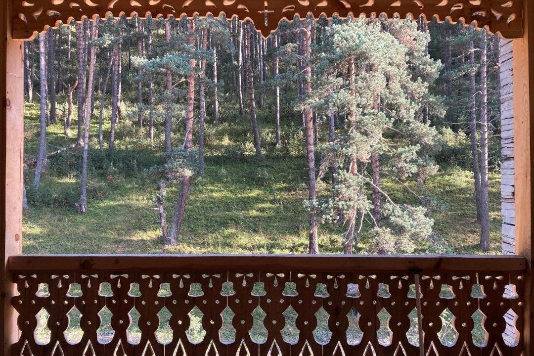 Photo of Others in Dartlo