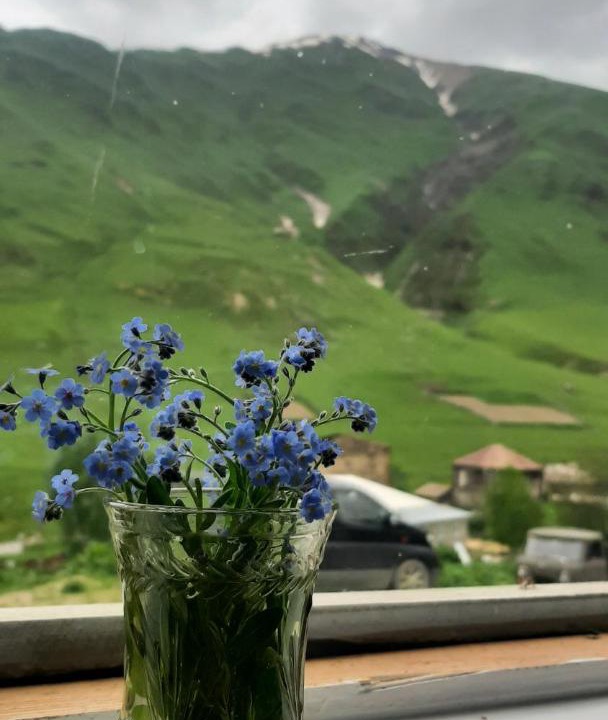 Photo of Others in Ushguli