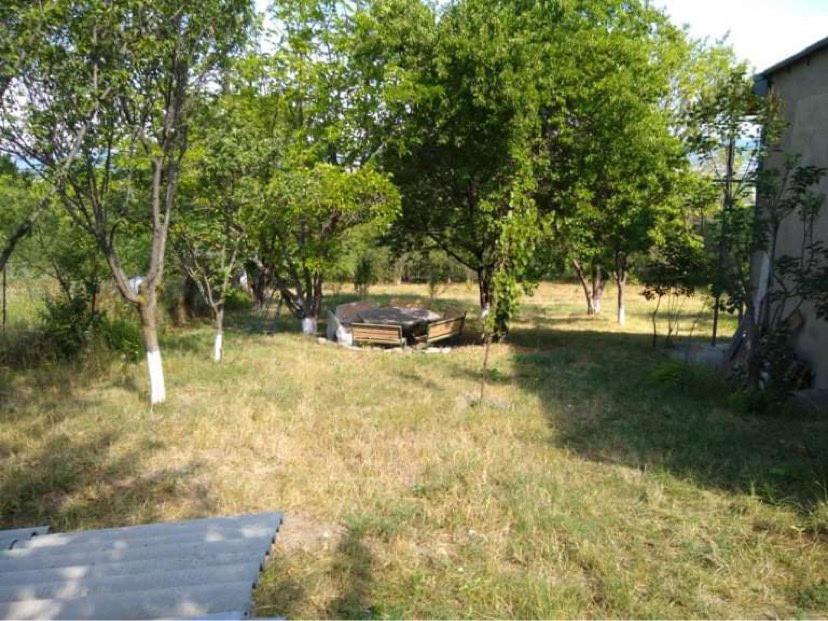 Photo of Outdoor in Tsilkani