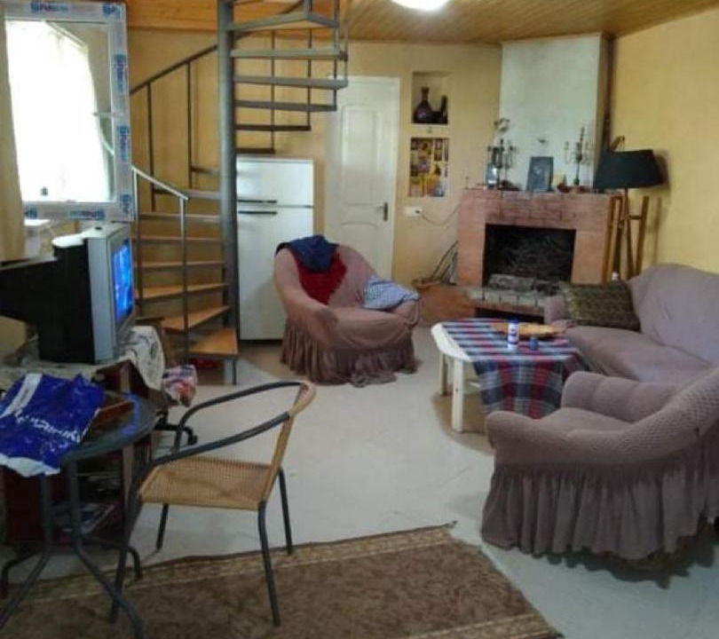 Photo of Livingroom in Tsilkani