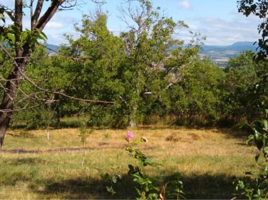 Photo of Outdoor in Tsilkani