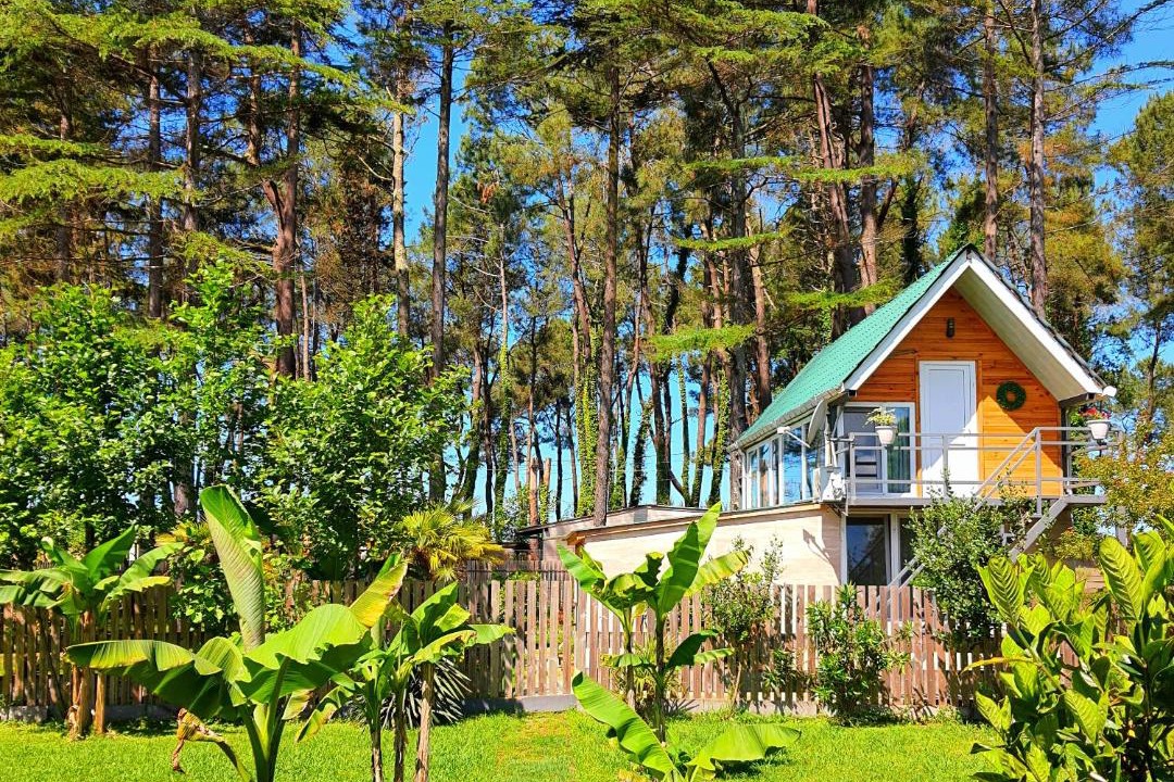 Photo of Buildings in Ureki