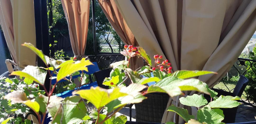 Photo of Patio Balcony in Natakhtari