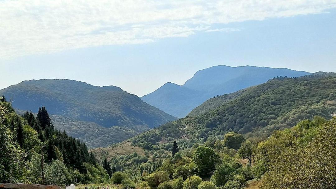 Photo of Outdoor in Ambrolauri
