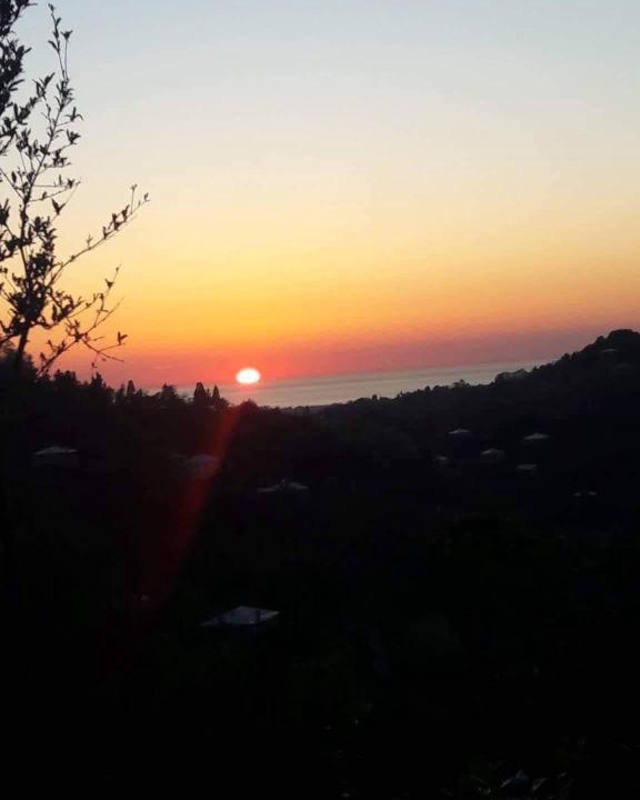 Photo of Outdoor in Kobuleti