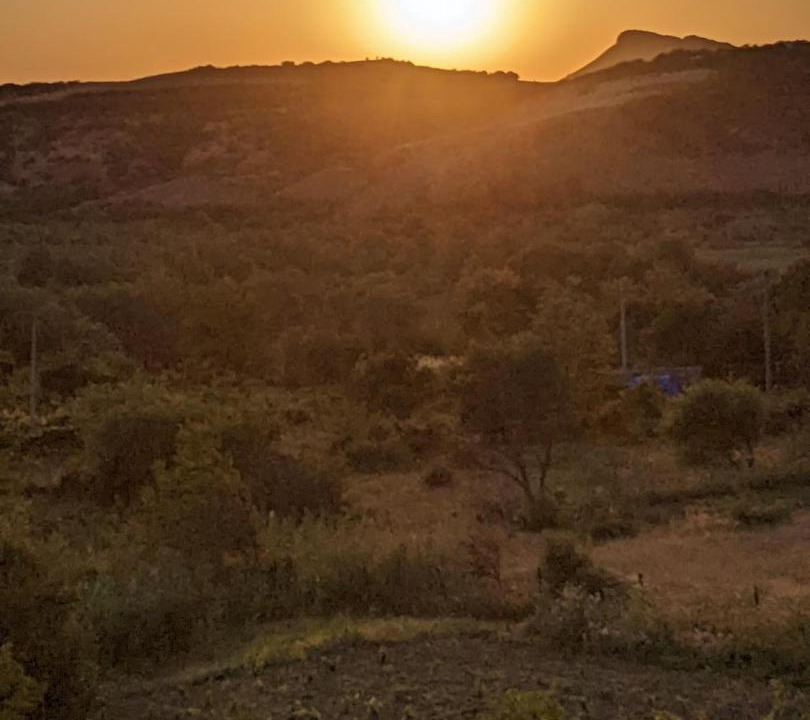 Photo of Outdoor in Vedzebi