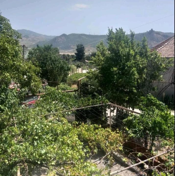 Photo of Outdoor in Mtskheta