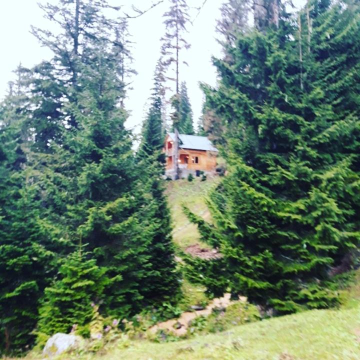 Photo of Outdoor in Bakhmaro