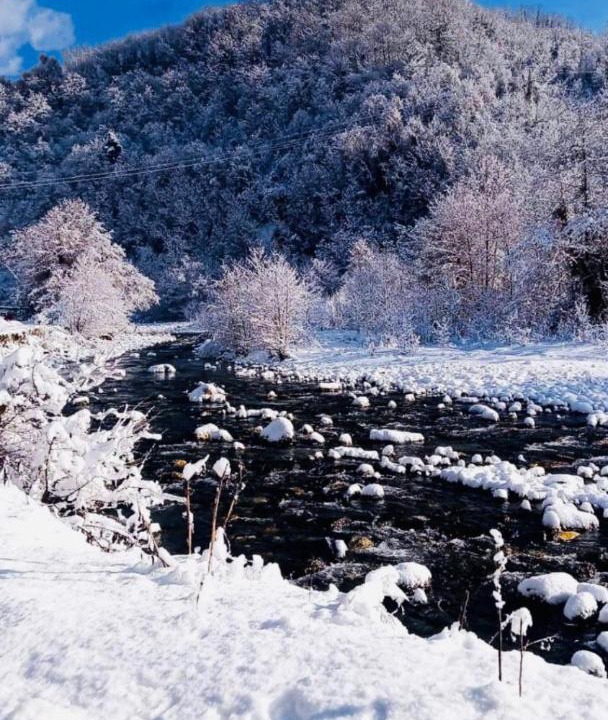 Photo of Others in Racha-Lechkhumi and Lower Svaneti